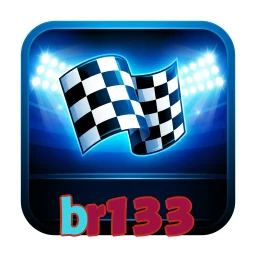 br133